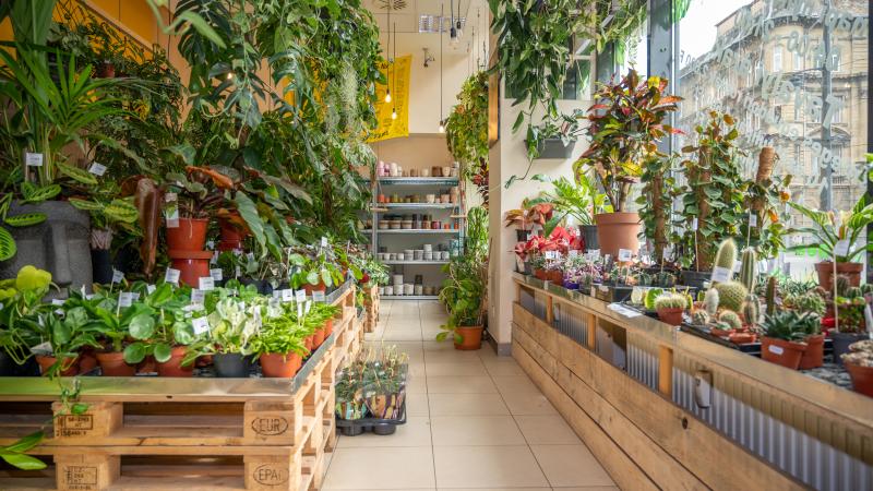 plant shop in hungary